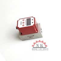 一體式流量溫度傳感器 NK500標(biāo)準(zhǔn)系列